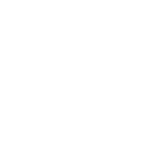 North American commodities Tanzania
