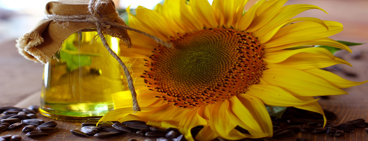 Sunflower oil